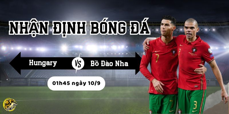 Bồ Đào Nha có nhiều lợi thế về đội hình